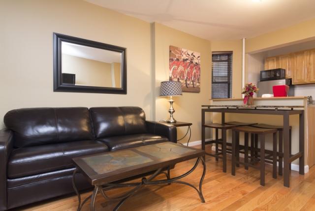 Fantastic 1 Bedroom Apartment in Greenwich Village photo 51563