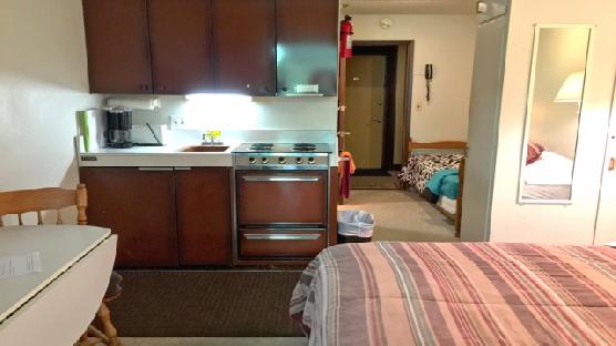 Mt. Baker Lodging Condo #09 - CONVENIENT, INEXPENSIVE, KITCHENETTE, SLEEPS-2!